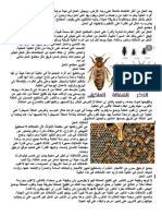 مجتمع النحل