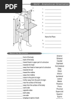 Quiz Anatomical Terms