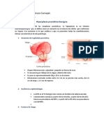 DESGRABE HPB-convertido