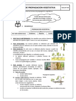 Tema 8 Formas de Propagacion Vegetativa