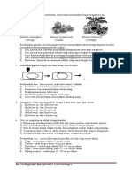 Soal Tes Diagnostik Biologi Kelas XII