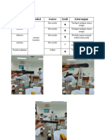 Hasil Pengamatan Biokimia