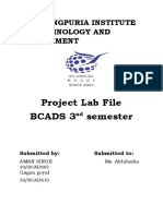 Project Lab File Bcads 3 Semester: B.S Anangpuria Institute of Technology and Management