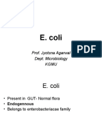 E. Coli: Prof. Jyotsna Agarwal Dept. Microbiology Kgmu