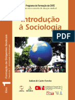 Introdução a Sociologia II