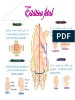 Estática Fetal