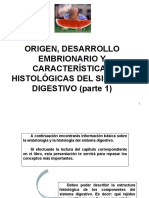 Origen, Desarrollo Embrionario y Características Histológicas Del Sistema Digestivo Parte I