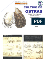 Cultivo de Ostras 2021