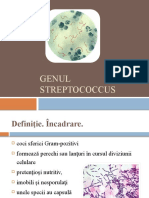 2 Streptococcus