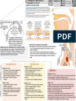 ICU One Pager Tracheostomy Emergencies Spanish