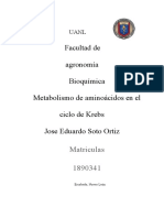 Metabolismo de Aminoacidos