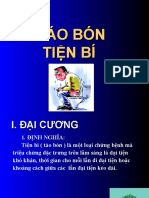 Tao Bon