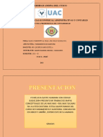 Mapa Conceptual NIAS 500,510Y 501