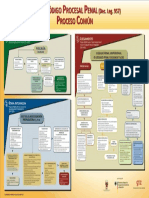 Proceso Común - NCPP