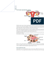 Reproduction: The Female Reproductive System