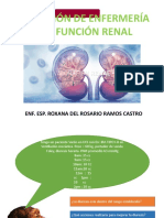 Valoracion Del Sistema Renal