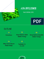 Anabolism e