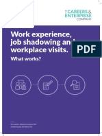 Work Experience, Job Shadowing and Workplace Visits.: What Works?