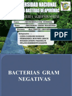 Bacterias Gram negativas: clasificación y características