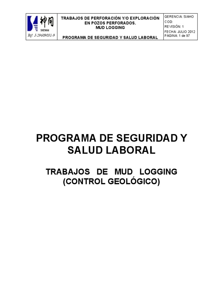 Programa de Seguridad y Salud Laboral | PDF | Seguridad y salud ...