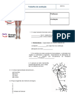 Teste1 2ºsaude