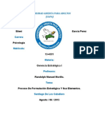 Trabajo Final Gerencia Estrategica I Sileni Garcia