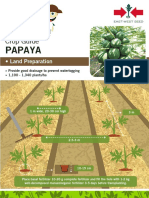 Papaya: Crop Guide