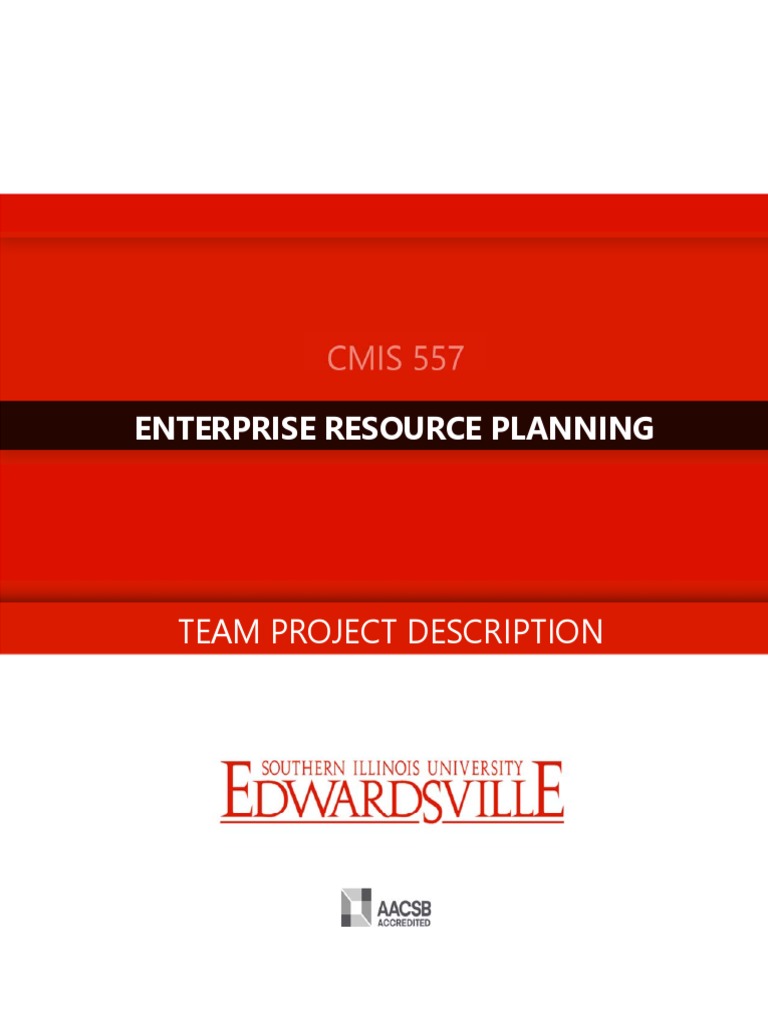 ERP Team Project Guide | PDF | Enterprise Resource Planning ...