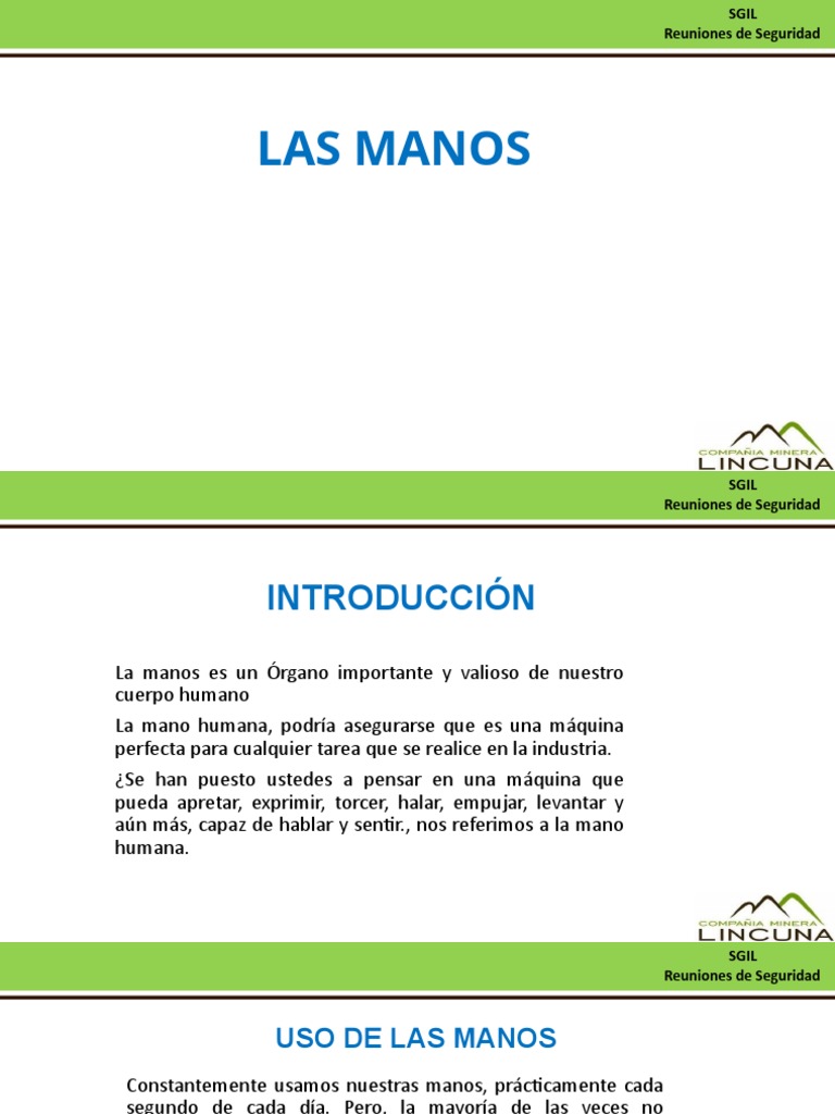 Las Manos | PDF | Primeros auxilios