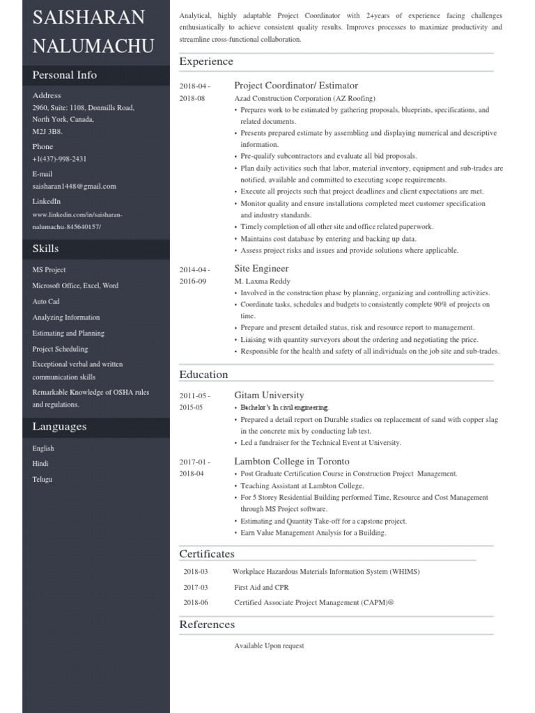 Personal Info: Experience | PDF | Project Management | Specification ...