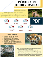 Pérdida de Biodiversidad