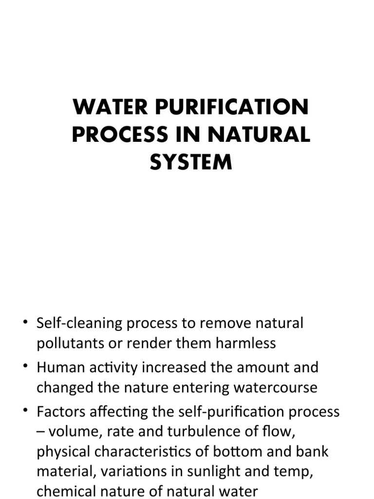 Water Purification Process in Natural System PDF Gases Solubility