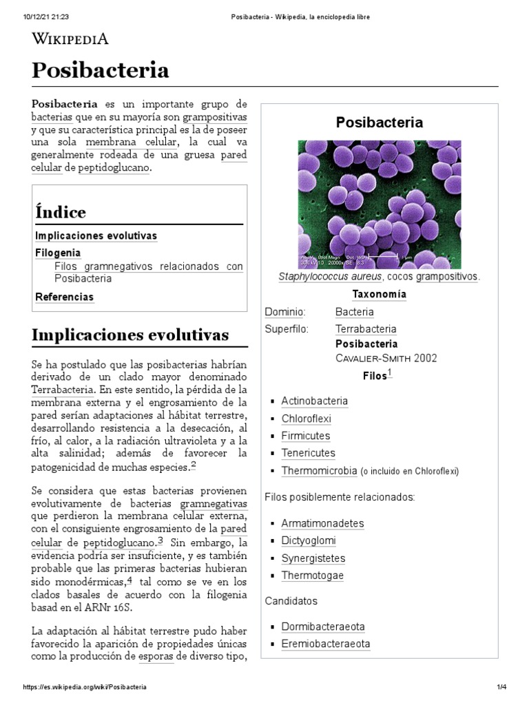 Posibacteria | PDF | Bacterias Gram Positivas | Las bacterias