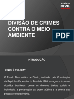 POLICIA CIVIL DE MINAS GERAIS _ DIVISÃO DE CRIMES AMBIENTAIS CONTRA MEIO AMBIENTE