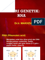 RNA: Bentuk dan Fungsi Utama