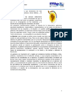 modulo-1-doctrina-bolivarianalecturas-complementariaspdfppp-9-1024