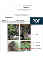 041_Banjariah_Praktikum Angiospermae