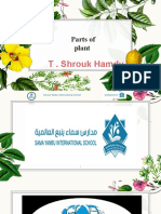 T - Shrouk Hamdy: Parts of Plant