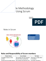 Agile Methodology: Roles, Scrum Framework & Ceremonies