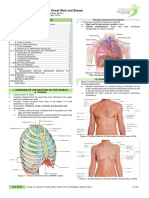06 - 07 - Anatomy of The Chest Wall and Breast