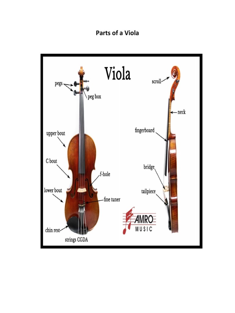 Parts of A Viola PDF