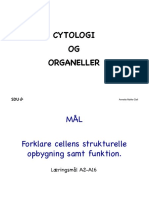 A2 Cytologi E2021