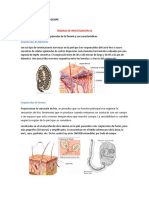 FundamentosBiomedicos Trabajo2 LilianHQ