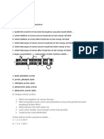 Remedial Biologi