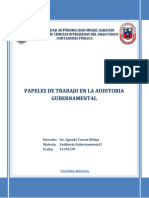 Auditoria Gubernamental - Papeles de Trabajo