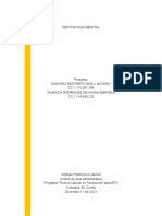 PL - Estructura Presentación de Informe
