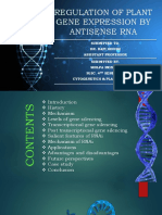 Regulation of Plant Gene Expression by Antisense RNA