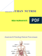 Kebutuhan Nutrisi