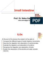 12-The Small Intestine: Prof. Dr. Maha Gamal