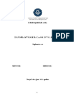 Diplomski Rad Zaposljavanje Lica Sa Invaliditetom